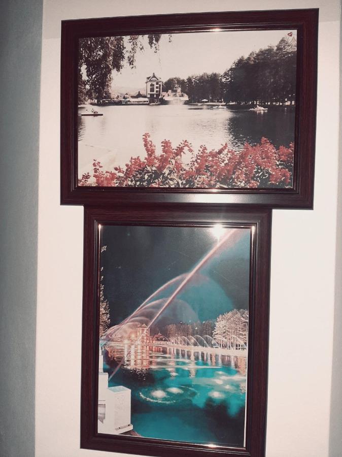 Krivokapic Apartment Zlatibor Ngoại thất bức ảnh